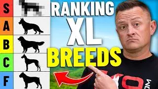 Thumbnail: Ranking the BEST & WORST Giant Dog Breeds!