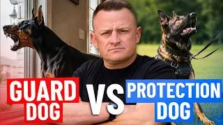 Thumbnail: Do You REALLY Need a $150,000 Protection Dog?!