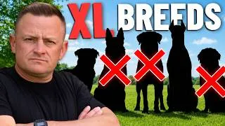 Thumbnail: 5 Giant Dog Breeds I’d NEVER Own (As a Pro Trainer)