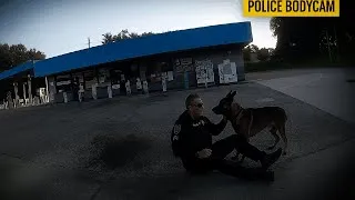 Thumbnail: Lake Worth Police K9 Injured | Bodycam Footage