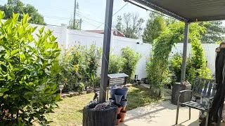 Thumbnail: My Garden (2026)
