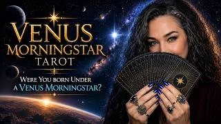 Thumbnail: Venus Morningstar Tarot (2nd Edition) | Full Walkthrough, Comparison & Symbolism