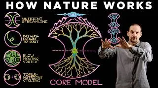Thumbnail: How to See the Hidden Patterns of Nature