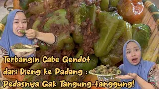 Thumbnail: Jajal Cabe Gendut Asli Wonosobo (Dieng) ini reaksi Lidah Padang !! 