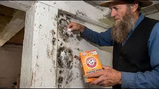 Thumbnail: How Amish Reduce HUMIDITY and Remove MOLD Forever