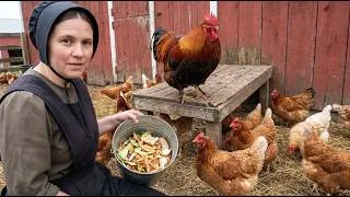 Thumbnail: The Amish Method That Feeds Chickens Without Grain (Only $1/Week)