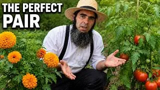 Thumbnail: Forgotten Planting Combinations That Still Work Today