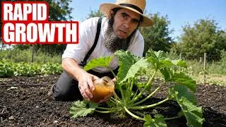 Thumbnail: Even Weak and Dying Plants Start Growing Again!
