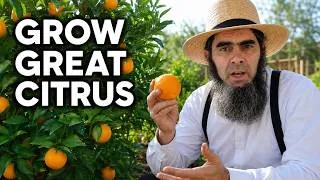 Thumbnail: How to Grow Citrus Trees From Planting to Harvest