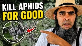 Thumbnail: Foolproof Aphid Control: Stop Aphids for Good