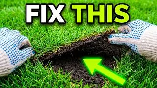 Thumbnail: Your Grass Grows Slow Because This 1 Thing Is Wrong Underground