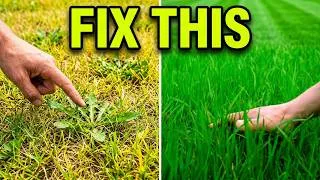 Thumbnail: Why Your Lawn Looks Worse Than Your Neighbor's — 3 Real Reasons