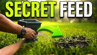 Thumbnail: Feed Your Lawn This Way and It Grows Sideways Instead of Up