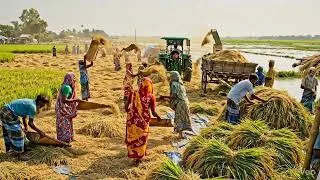 Thumbnail: Village life....