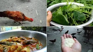 Thumbnail: গ্রামের বাড়িতে বর্ষার বিকেলে মা- কাকিমারা যেভাবে রান্না করে। Village cooking vlog