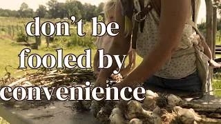 Thumbnail: Convenience is Killing Us