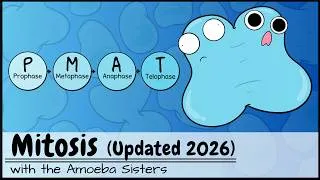 Thumbnail: Mitosis (UPDATED 2026)