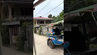 Thumbnail: Negros oriental Philippines 