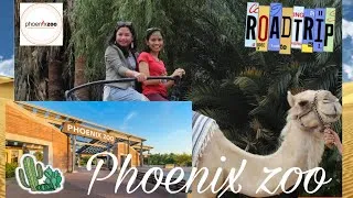 Thumbnail: Phoenix ZOO