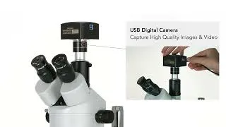 Thumbnail: AmScope SM-1TSZZ-144S-10M Digital Enabled Trinocular Stereo Microscope