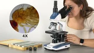 Thumbnail: EduScope: Microscopes For the Next Generation of Explorers