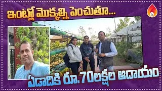 Thumbnail: ఇంట్లో మొక్కల్ని పెంచుతూ ఏడాదికి 70 లక్షల ఆదాయం | Farming Business | Amulya Startups.
