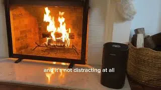 Thumbnail: PuroAir 240 HEPA Air Purifier Review: Powerful Air Cleaning for Large Rooms Up to 1,000 Sq Ft.