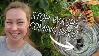 Thumbnail: Get Rid Of Wasp Nests and Stop Them Coming Back! Professional Pest Control Advice