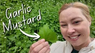 Thumbnail: Last Chance To Get This Herb For Free! Forage Incredible Garlic Mustard In May