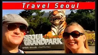 Thumbnail: BABY TIGERS at the Seoul Zoo