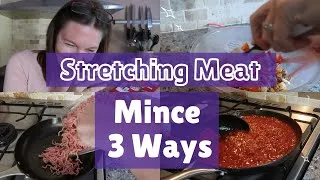 Thumbnail: Family Meals that Stretch - 3 Meals from Only 1 Package of Mince!