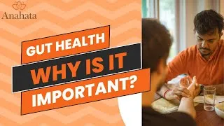 Thumbnail: The Gut Health Workshop || Ayurvedic Gut Reset Techniques || Anahata Ayurveda in Rishikesh