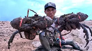 Thumbnail: Amazing... Finding many crabs stranded on a secret island.