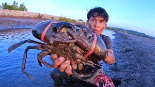Thumbnail: The Great Hunt to Catch a Large Black Crab in the Wild