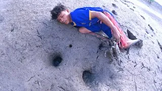 Thumbnail: GREAT SKILL, CATCHING A HUGE CRAB IN A HOLE WITH BARE HANDS