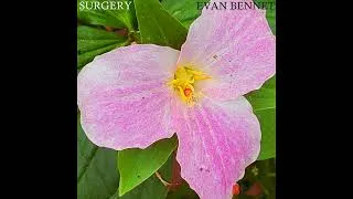 Thumbnail: Dying Onion Plant (from "Surgery", 2022)