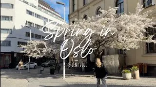 Thumbnail: Simple Spring Days in Oslo 🌸 / Slow Living in the City 