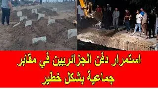 Thumbnail: استمرار دفن الجزائريين في مقابر جماعية بشكل خطير