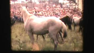 Thumbnail: Group of horses' riders. 1960s.USA.