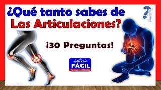 Thumbnail: 🥇¿QUÉ TANTO SABES DE LAS ARTICULACIONES? ¡ Test de 30 Preguntas!