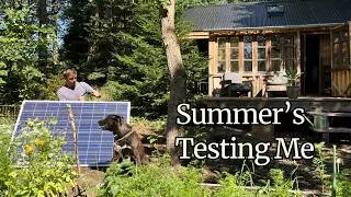 Thumbnail: Living on Nature's Terms At My Tiny Cabin