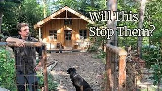 Thumbnail: I Have To Act – Wild Animals Are Roaming My Garden