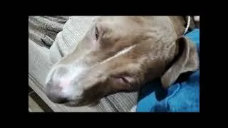 Thumbnail: DOJA / That's Just My Baby DOJA