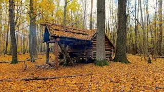 Thumbnail: 24 hours of life in the forest. Building a new large log cabin