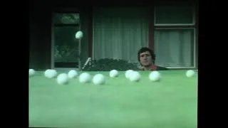 Thumbnail: Seve and the bush..