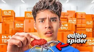 Thumbnail: I Tried Food From TEMU...