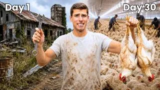 Thumbnail: From Abandoned Farm to 15,000 Chickens