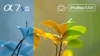 Thumbnail: Sony a7S III | 4K ProRes RAW | First Impressions