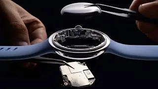 Thumbnail: When Macro Photography is Your Job
