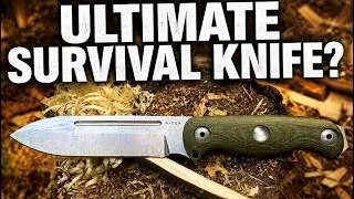 Thumbnail: The BEST Budget Survival Knife? | Kizer Drop Bear 7 Review & Test